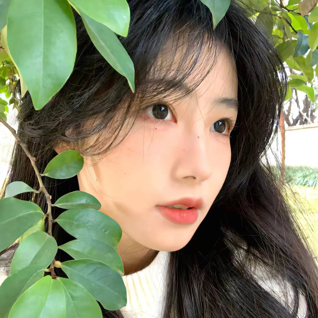 绿林艳妹