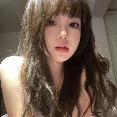 高速公路家族